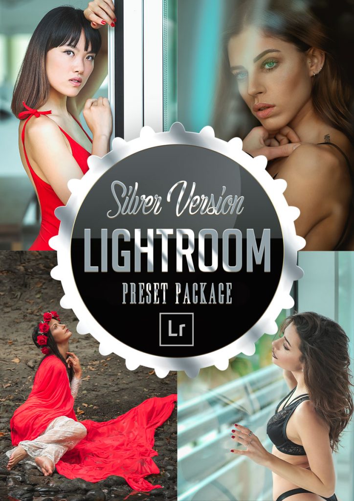 Silver - Preset Lightroom Package